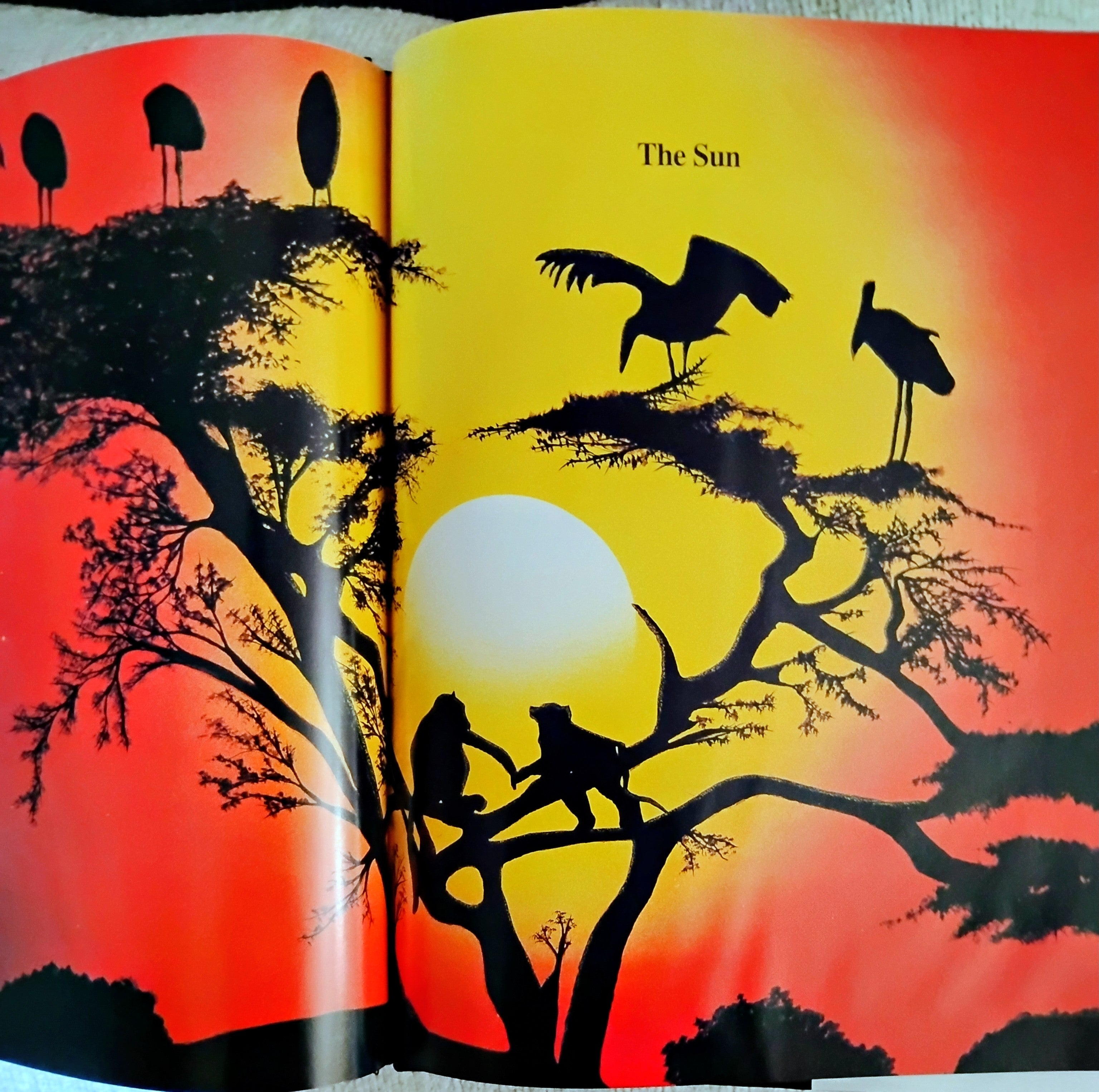 God Created Everything (C. Alta) (Free Shipping)
